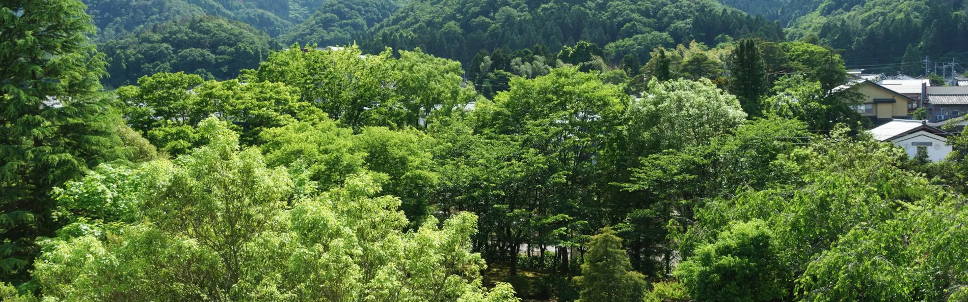 越後平野と弥彦連山一望の宿 穂々 ― hoho ―