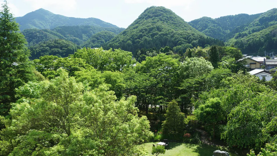 Accommodation Overlooking the Echigo Plain and Yahiko Mountain Range - Hoho -