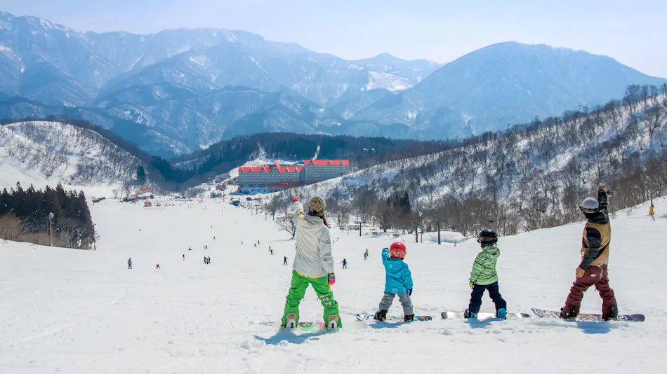Hotel Green Plaza Hakuba