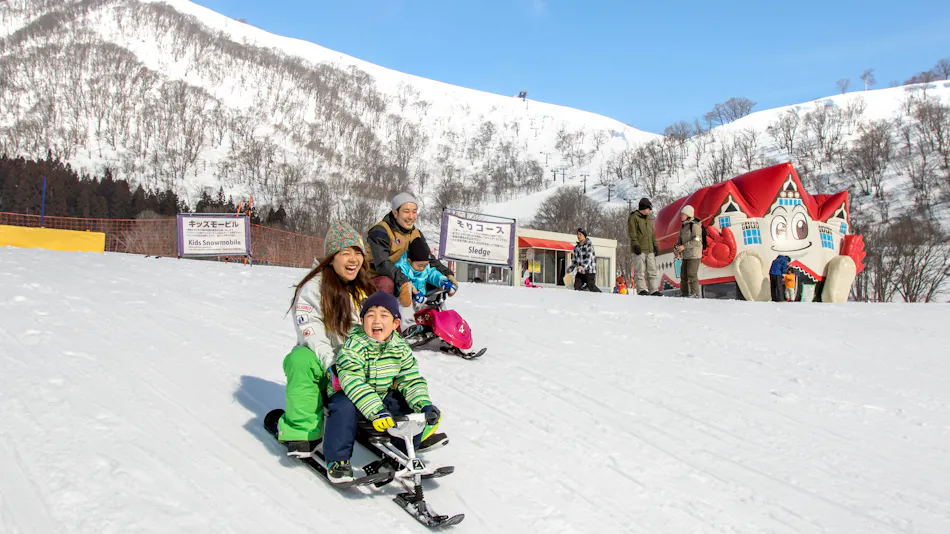 Hotel Green Plaza Hakuba