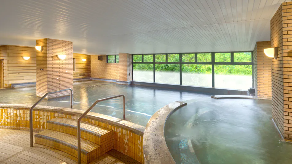 Hotel Green Plaza Hakuba