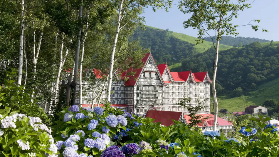 Hotel Green Plaza Hakuba