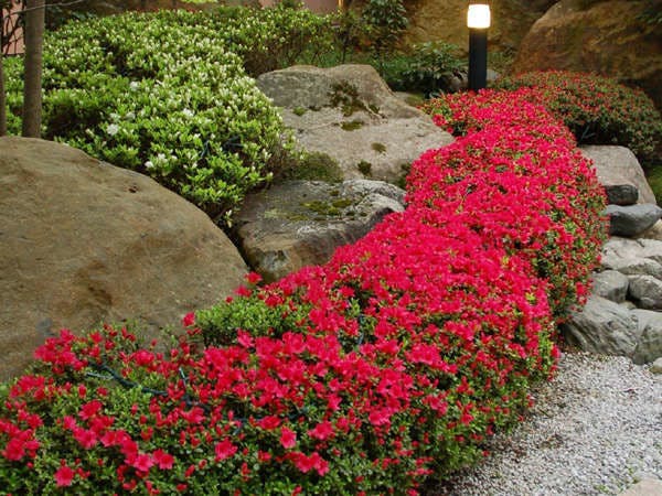 花の宿　にしき園