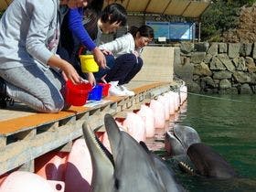 南紀勝浦温泉　ホテル浦島