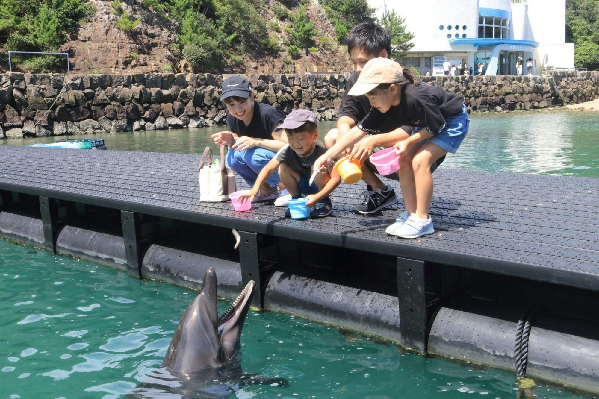 【くじらの博物館入館付】イルカのエサやり体験もできる！家族旅行におすすめ！バイキングプラン