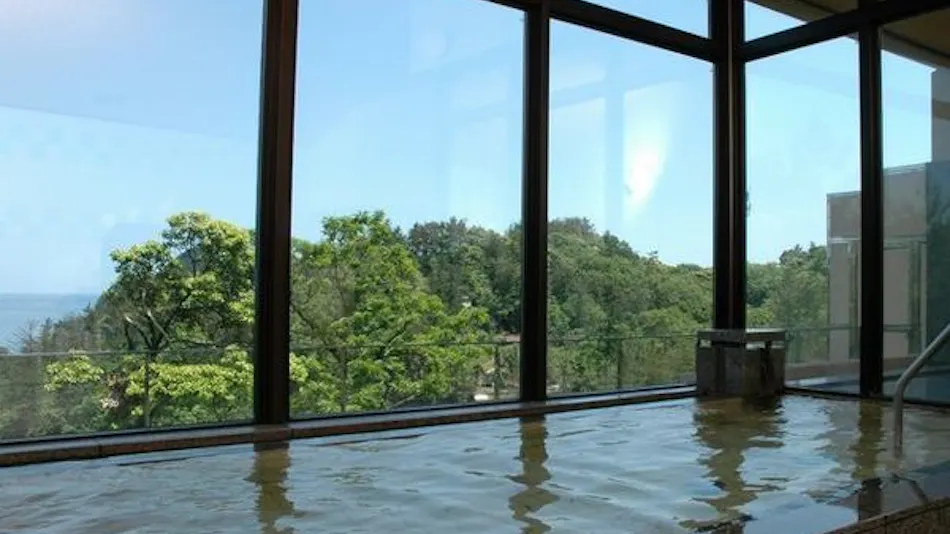 Kyukamura Takenokaigan