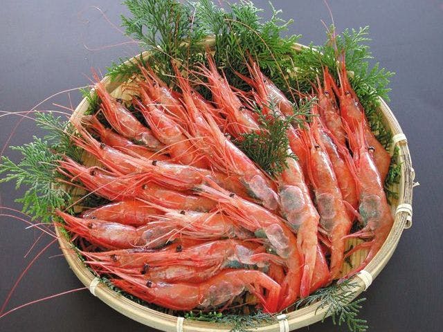 休暇村 竹野海岸