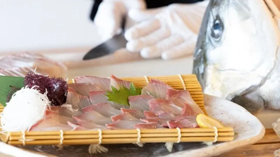 Kyukamura Takenokaigan