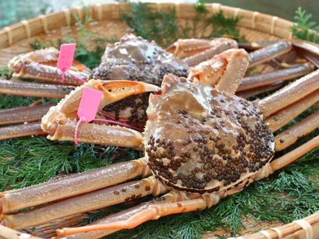 休暇村 竹野海岸