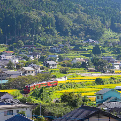 大杵社の大杉 国指定天然記念物 の宿で 由布岳 をご紹介 最上のひとときをどうぞ 一休 Com 大杵社の大杉 国指定天然記念物 の宿で 由布岳 をご紹介 最上のひとときをどうぞ 一休 Com