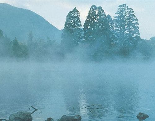 金鱗湖と朝霧
