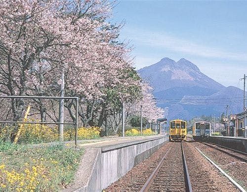 南由布駅と桜並木