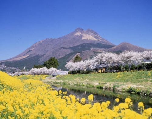 山水館横よりの由布岳