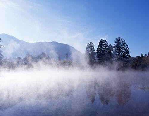 金鱗湖