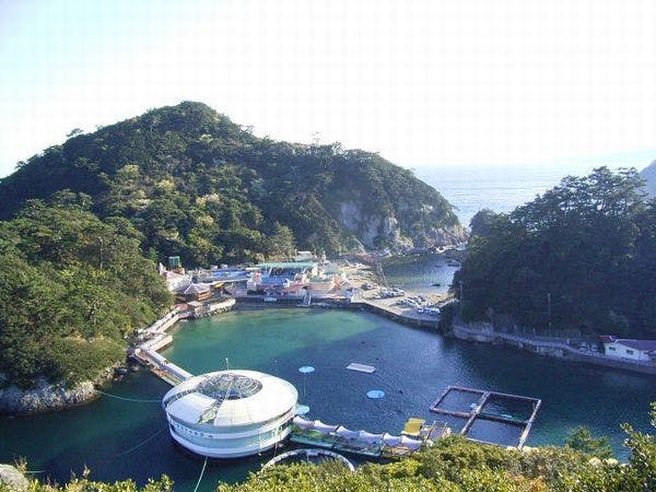 下田港を一望する絶景の宿　ホテル山田屋
