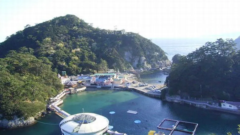 Hotel Yamadaya: A Spectacular Inn Overlooking Shimoda Port