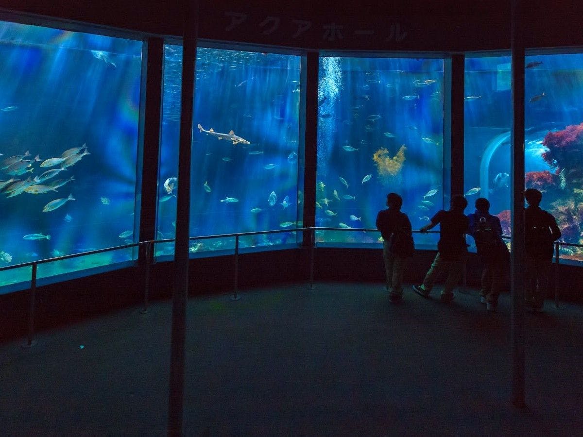 海の中に潜っているような錯覚