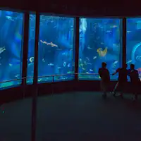 海の中に潜っているような錯覚