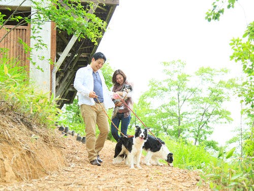 広大な散策コース