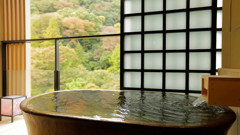 Tsuki no Yado Sara (Kyoritsu Resort)