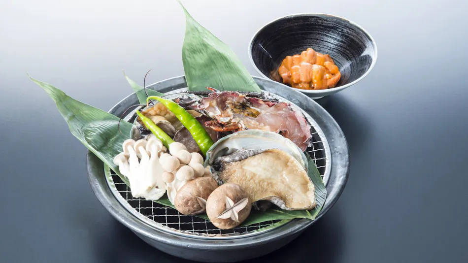 Nikko Hoshi no Yado