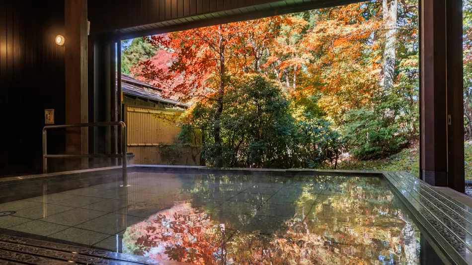 Nikko Hoshi no Yado