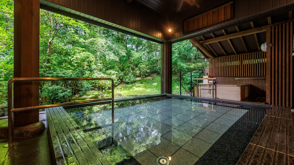 Nikko Hoshi no Yado