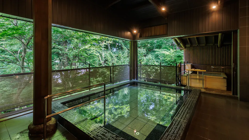 Nikko Hoshi no Yado