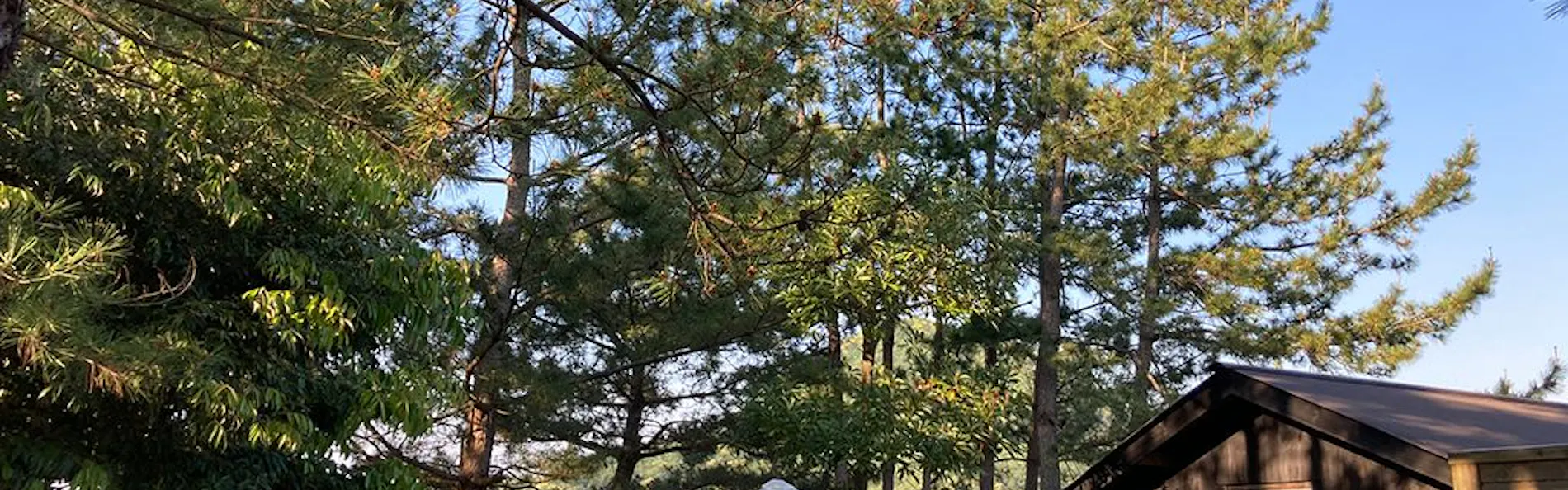 waterside cottage Heron