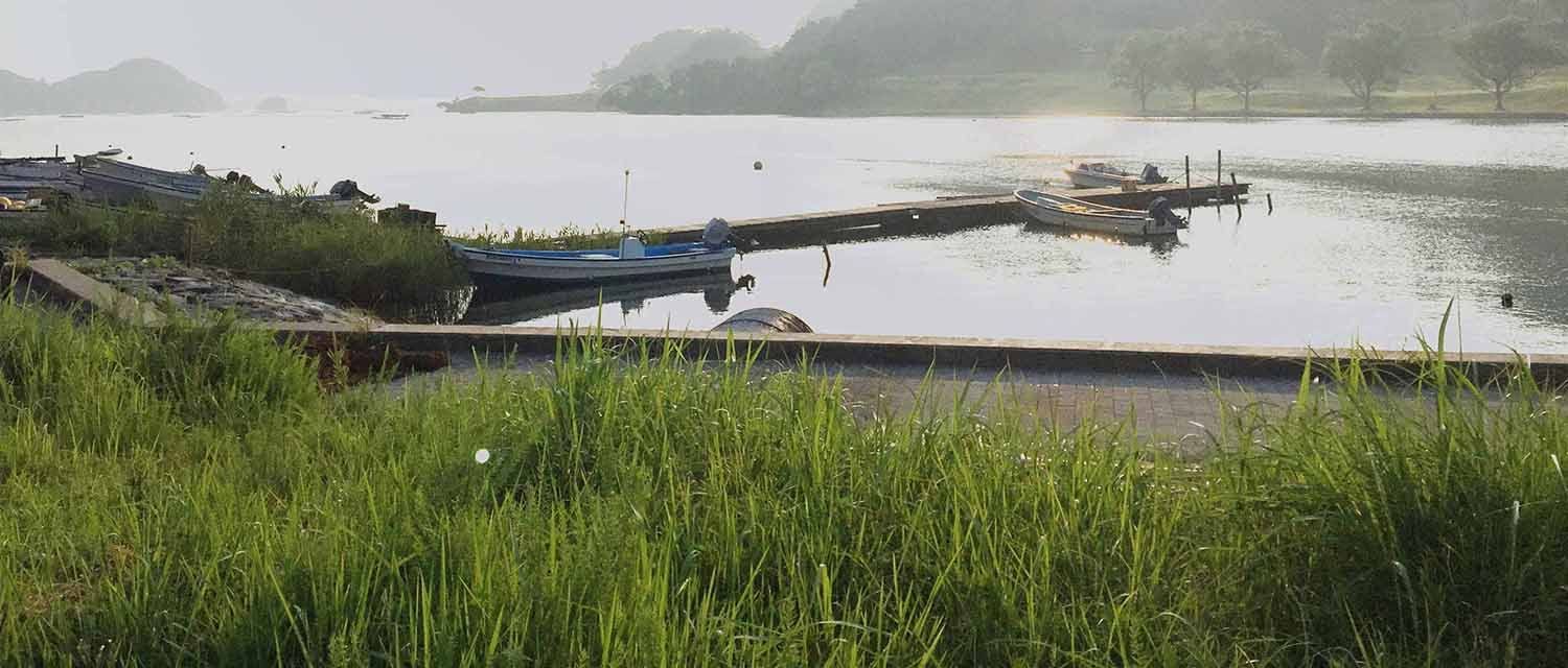 久美浜湾西側からカントリークラブを望む