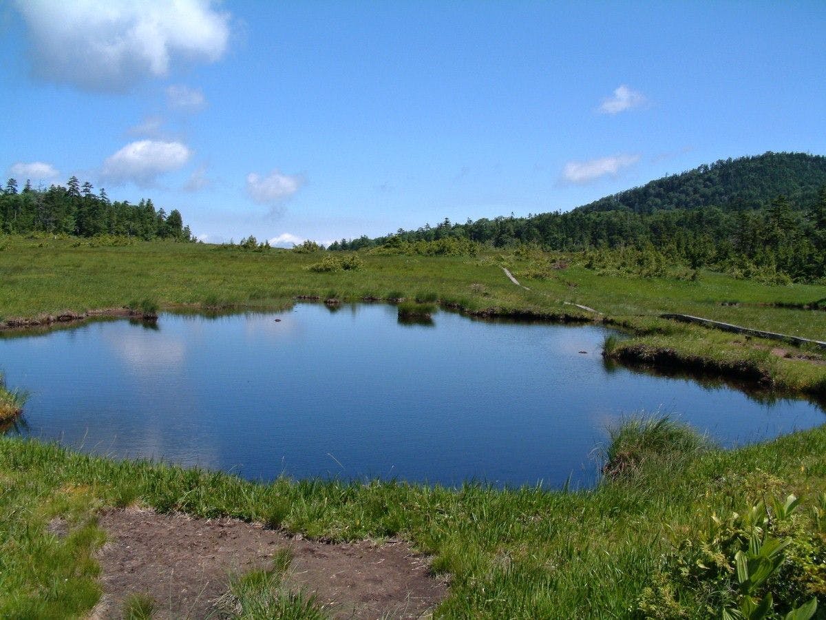 ภาพบริเวณโดยรอบ