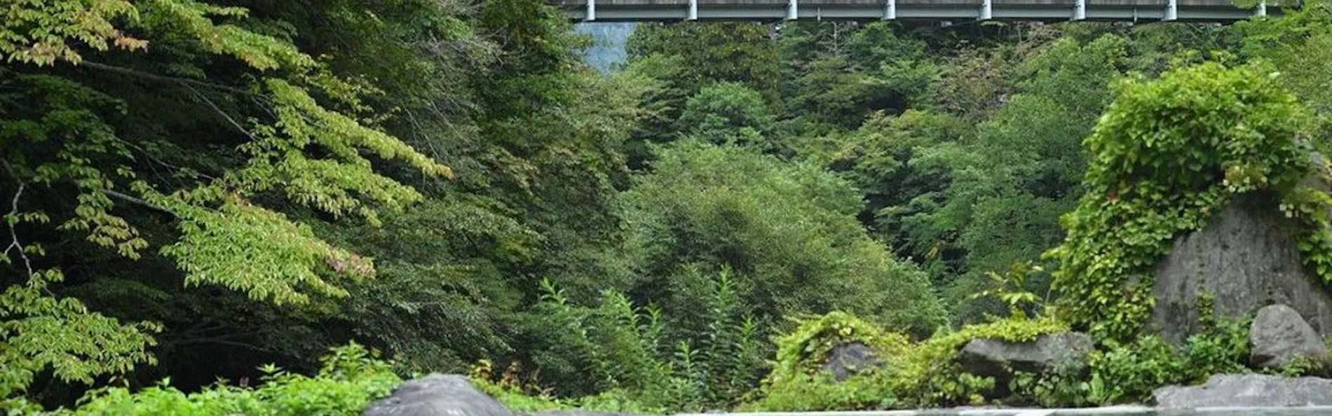 奥鬼怒温泉 加仁湯(かにゆ)