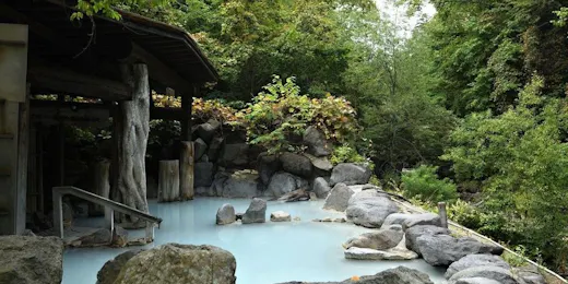 奥鬼怒温泉 加仁湯(かにゆ)