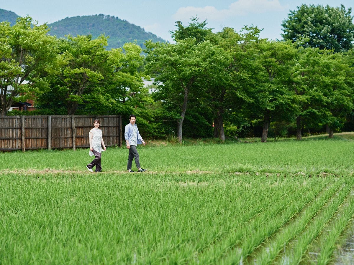 三木屋参蒼來