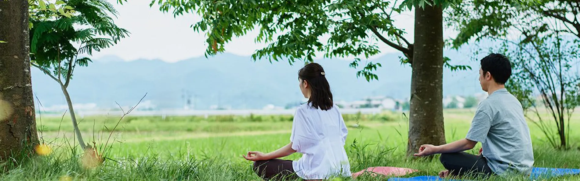 三木屋参蒼來