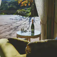 โบทานิคอลเลานจ์