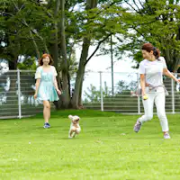 สนามวิ่งเล่นสำหรับสุนัขที่กว้างขวาง สุนัขของคุณจะพอใจมาก!