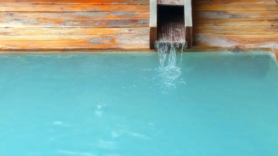 Takayu Onsen Ryokan Higenoie