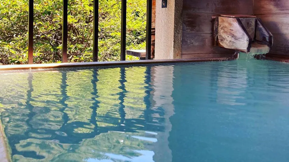Takayu Onsen Ryokan Higenoie