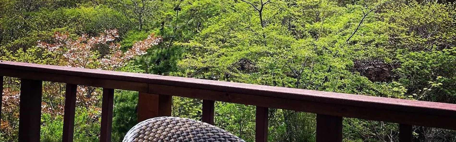 高湯温泉 旅館ひげの家