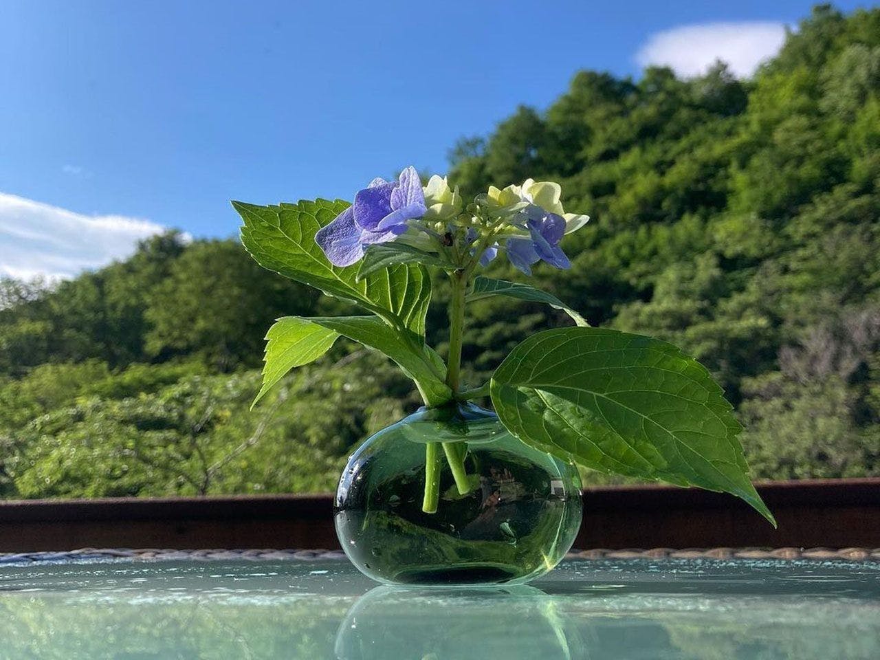 高湯温泉 旅館ひげの家