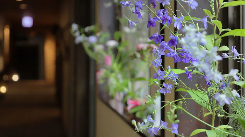 Takayu Onsen Ryokan Higenoie