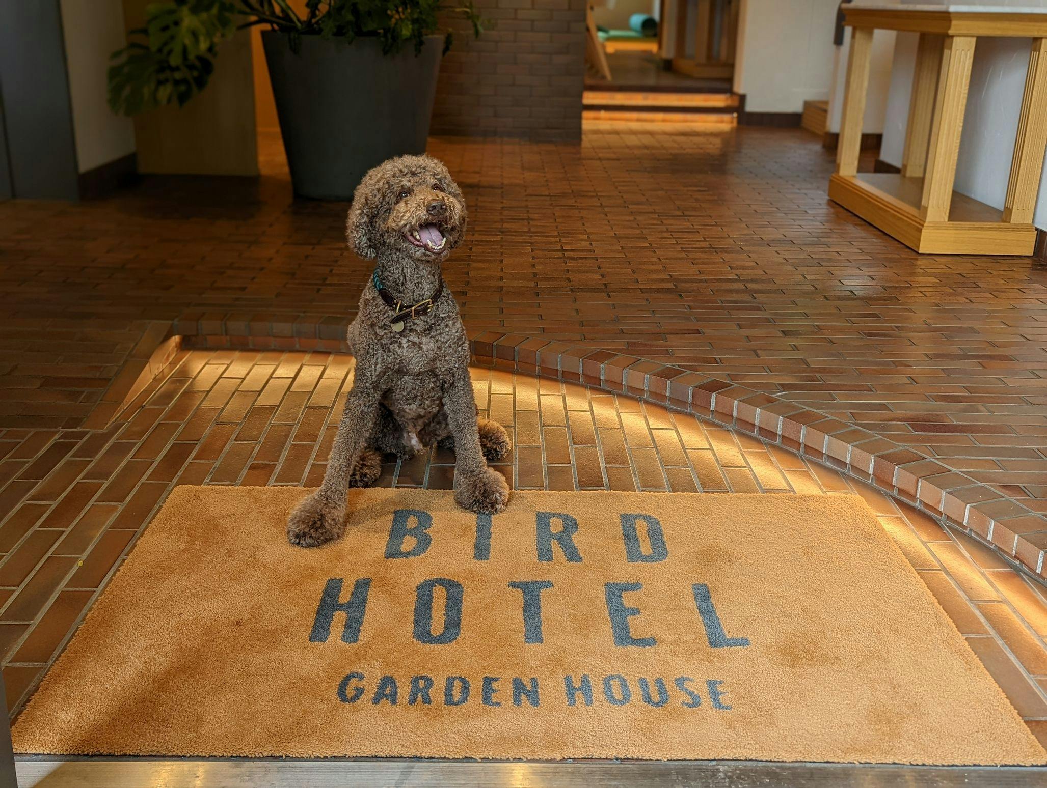 สามารถเข้าพักและรับประทานอาหารพร้อมสุนัขของคุณได้