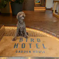 สามารถเข้าพักและรับประทานอาหารพร้อมสุนัขของคุณได้