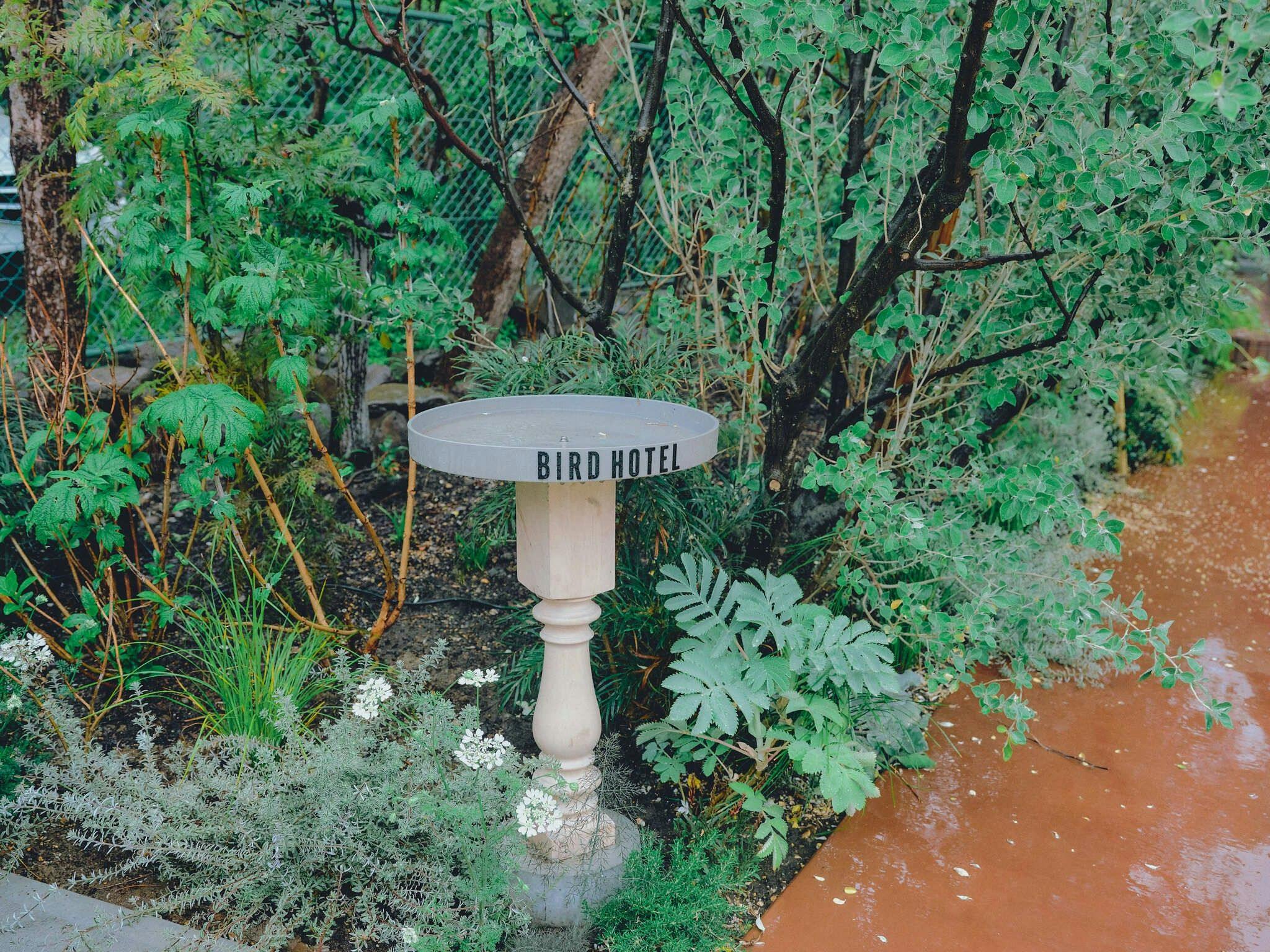 BIRD HOTEL