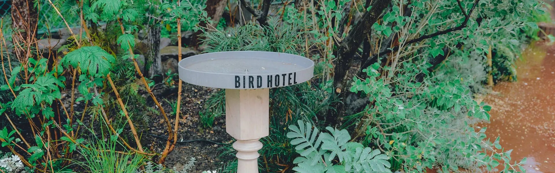 BIRD HOTEL