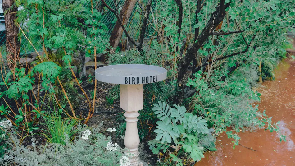 BIRD HOTEL