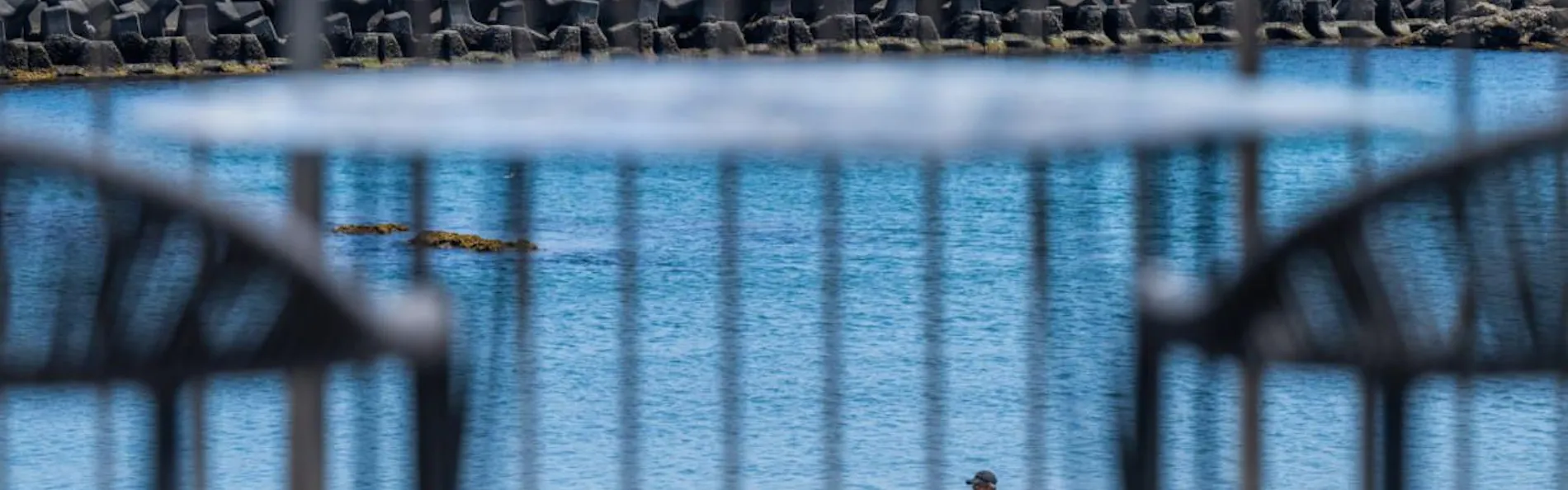 浜辺の宿 かめや