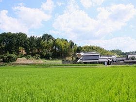 あすか癒俚の里 森羅塾