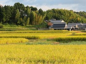 あすか癒俚の里　森羅塾